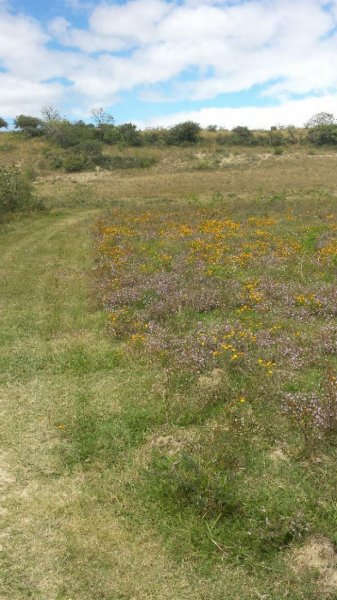 Foto Terreno en Venta en Santa Martha Etla, Magdalena Apasco, Oaxaca - $ 4.190.400 - TEV141435 - BienesOnLine