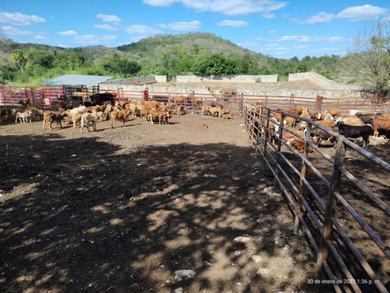 Rancho en Venta en  Hecelchakán, Campeche