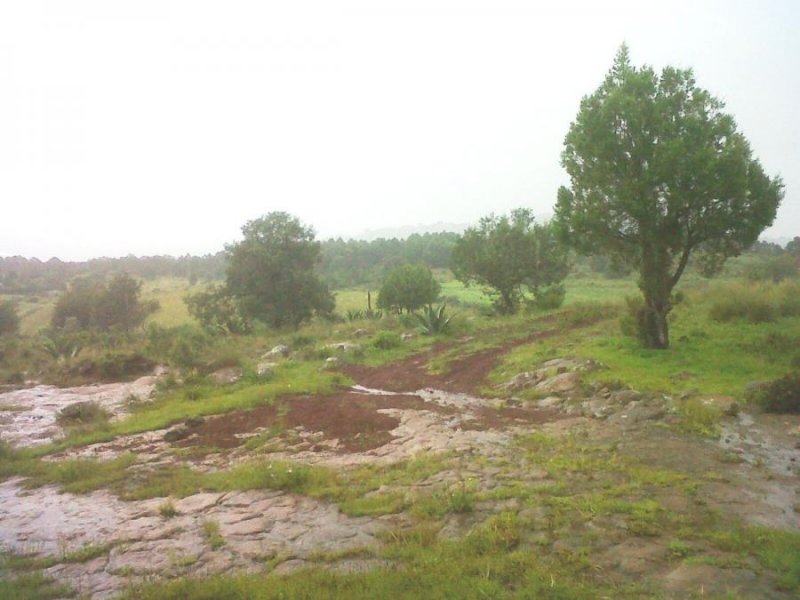 Foto Terreno en Venta en Terrenate, Tlaxcala - $ 11.000.000 - TEV273275 - BienesOnLine