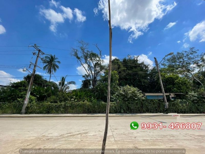 Foto Terreno en Venta en Centro de Nacajuca, Nacajuca, Tabasco - $ 1.998.900 - TEV316932 - BienesOnLine