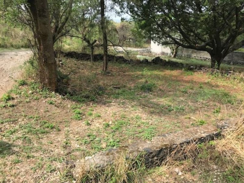 Terreno en Venta en NUCLEO EJIDAL DE PANTITLAN Tlayacapan, Morelos