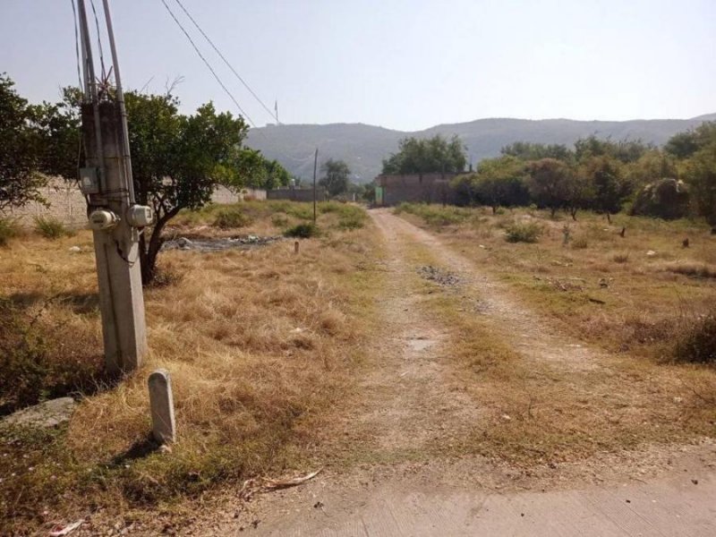 Terreno en Venta en RESIDENCIAL LOS MANGOS Iguala de la Independencia, Guerrero