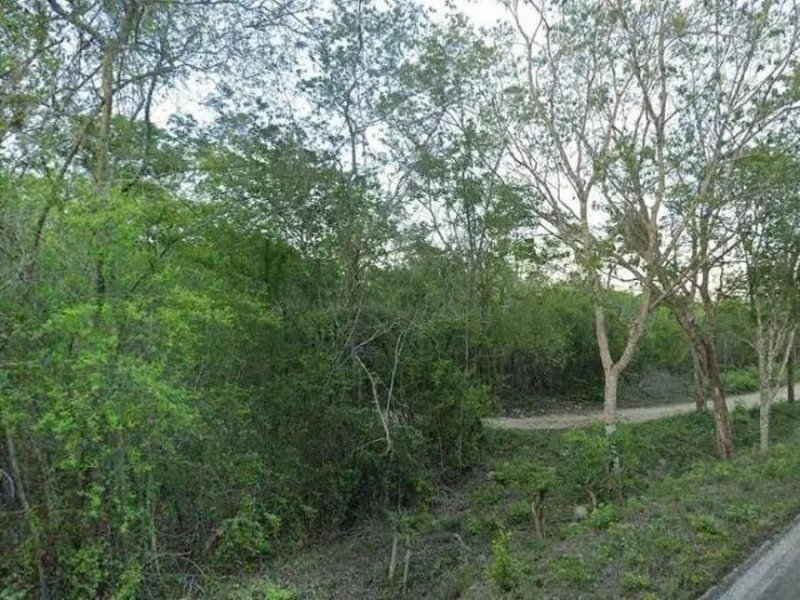 Terreno en Venta en  Tinum, Yucatan