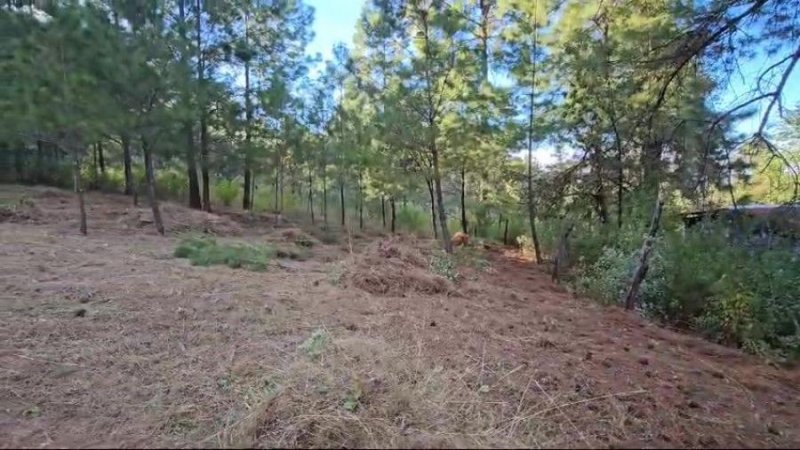 Terreno en Venta en Las cabañitas Zinapécuaro de Figueroa, Michoacan de Ocampo