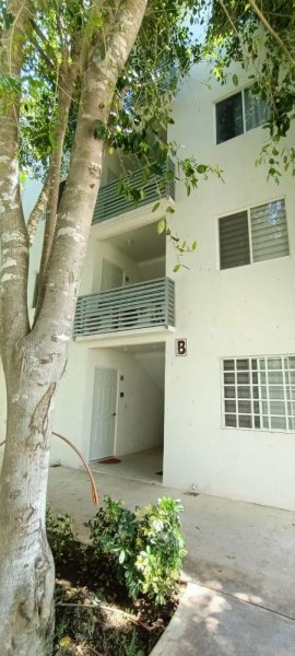 Departamento en Renta en LOS OLIVOS II Cancún, Quintana Roo