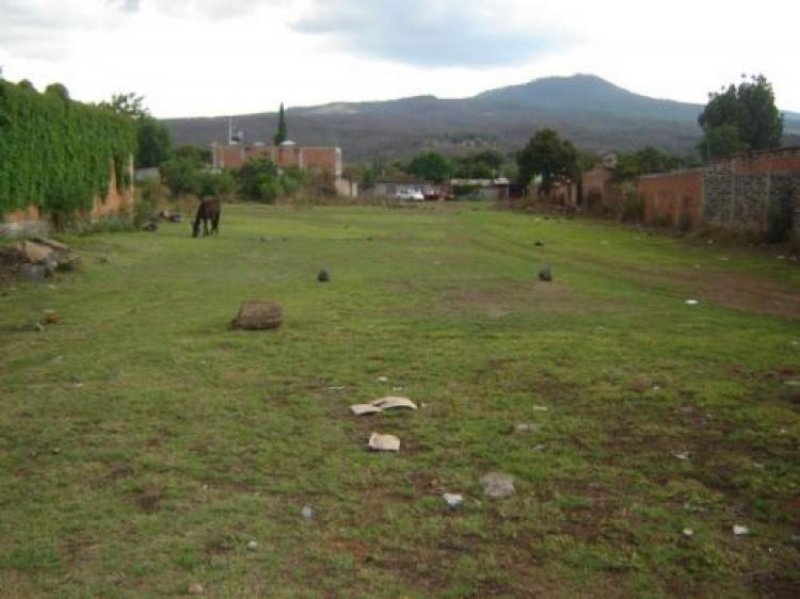 Foto Terreno en Venta en Los Ajolotes, Zacapu, Michoacan de Ocampo - $ 750.000 - TEV40654 - BienesOnLine