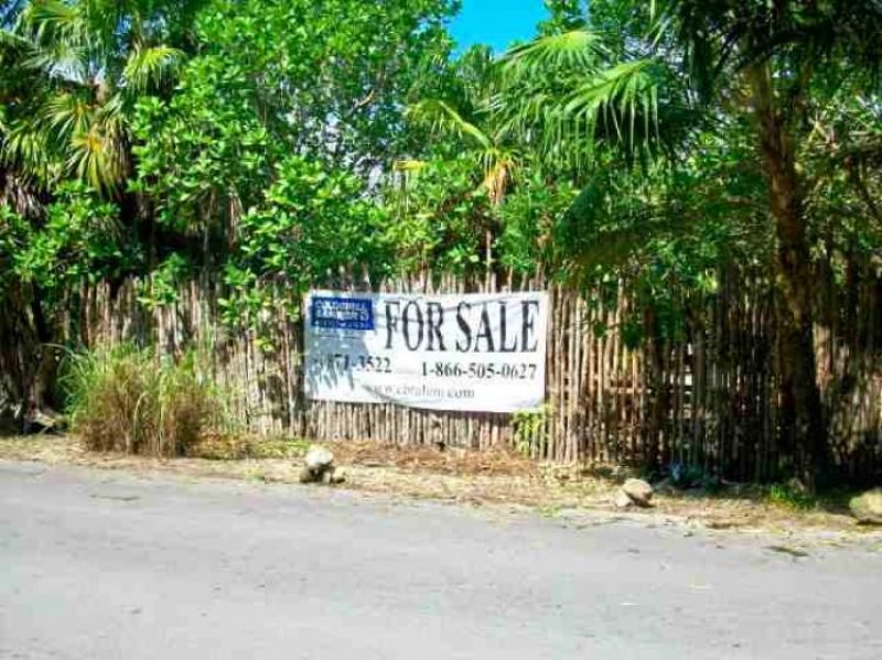 Foto Terreno en Venta en Tulum, Quintana Roo - U$D 220.000 - TEV25499 - BienesOnLine