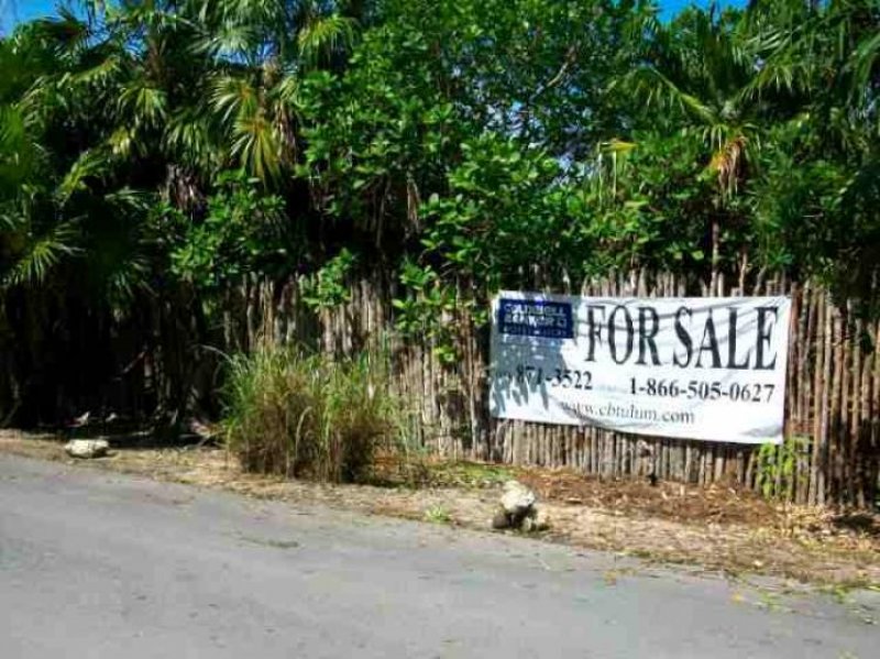 Foto Terreno en Venta en Tulum, Quintana Roo - 2 hectareas - U$D 220.000 - TEV27987 - BienesOnLine