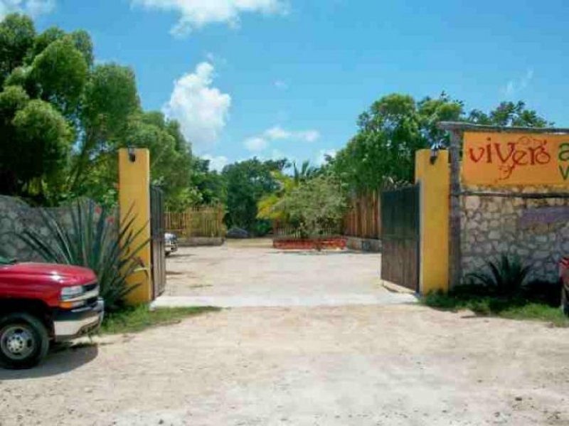 Foto Terreno en Venta en Tulum, Quintana Roo - U$D 1.557.500 - TEV25992 - BienesOnLine