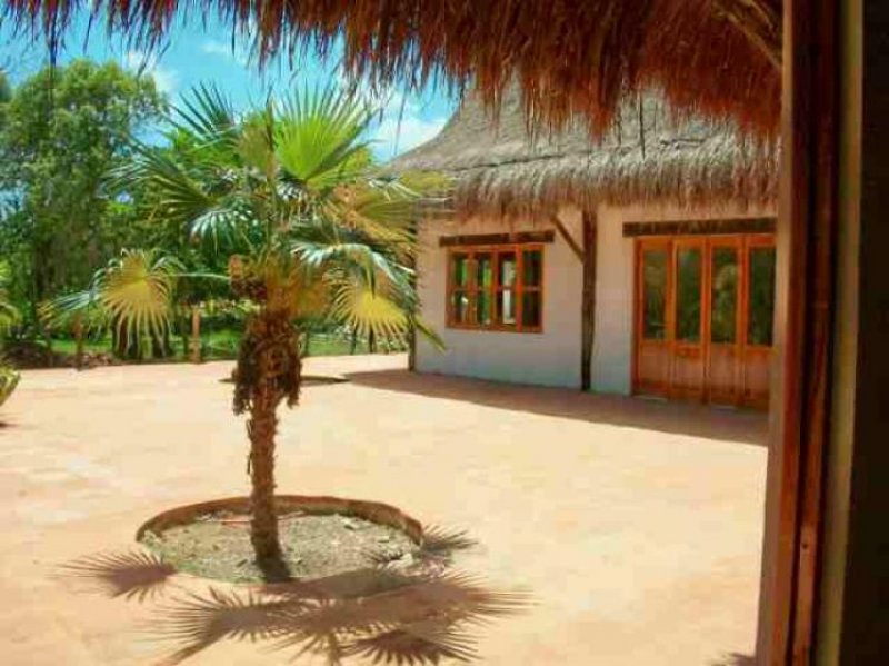 Foto Terreno en Venta en Tulum, Quintana Roo - U$D 1.557.500 - TEV22181 - BienesOnLine