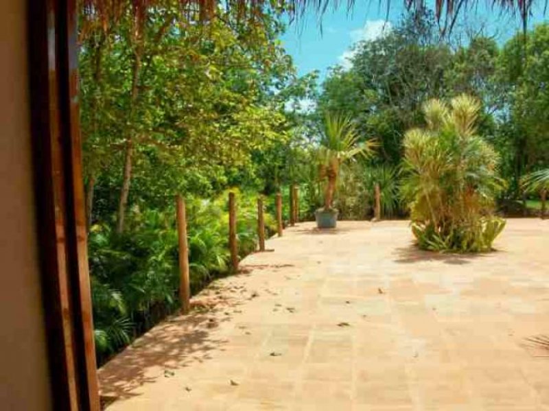 Foto Terreno en Venta en Tulum, Quintana Roo - U$D 1.557.500 - TEV32992 - BienesOnLine