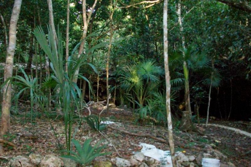 Foto Terreno en Venta en Tulum, Quintana Roo - U$D 750.000 - TEV22968 - BienesOnLine