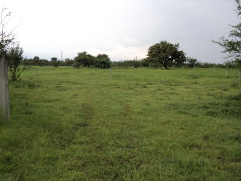 Terreno en Venta en Joya de Dios, Ampliación Caudillo del sur Yautepec de Zaragoza, Morelos