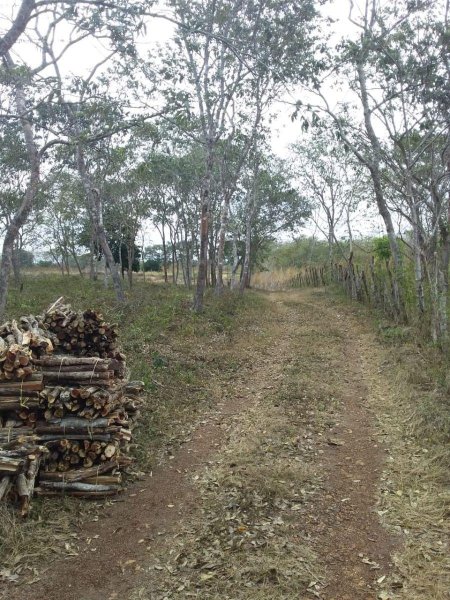 Rancho en Venta en  Opichén, Yucatan