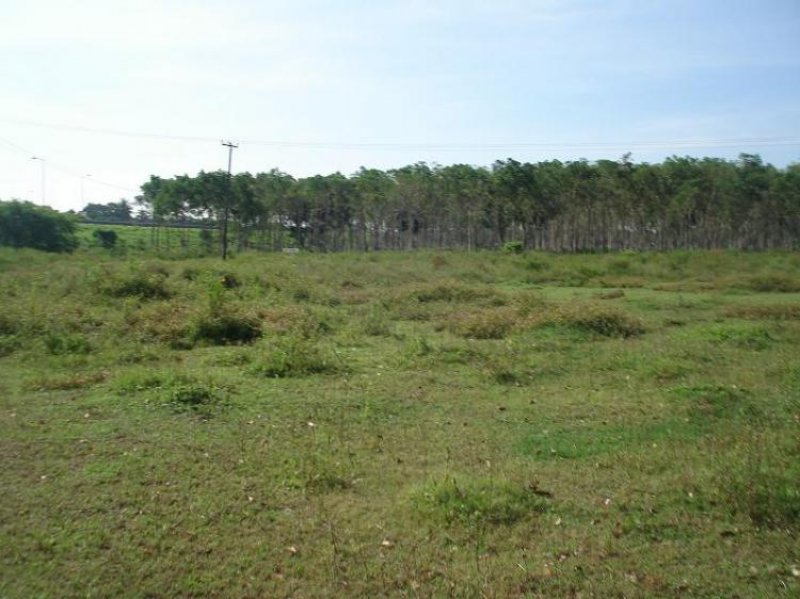 Foto Terreno en Venta en La Posta, , Veracruz - 51 hectareas - $ 20.000.000 - TEV44220 - BienesOnLine