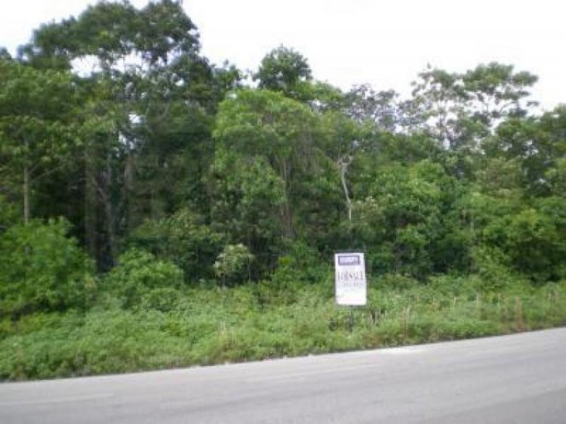 Foto Terreno en Venta en Tulum, Quintana Roo - U$D 1.440.000 - TEV44274 - BienesOnLine