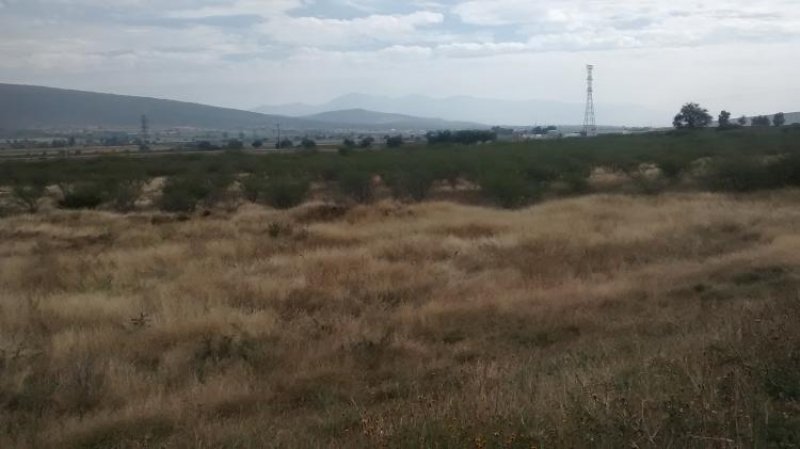 Foto Terreno en Venta en Celaya, Guanajuato - $ 395 - TEV112088 - BienesOnLine