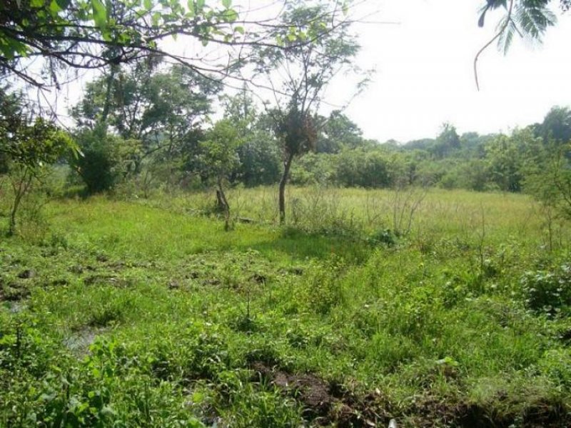 Foto Terreno en Venta en Zacualpan de Amilpas, Morelos - $ 6.000.000 - TEV28157 - BienesOnLine