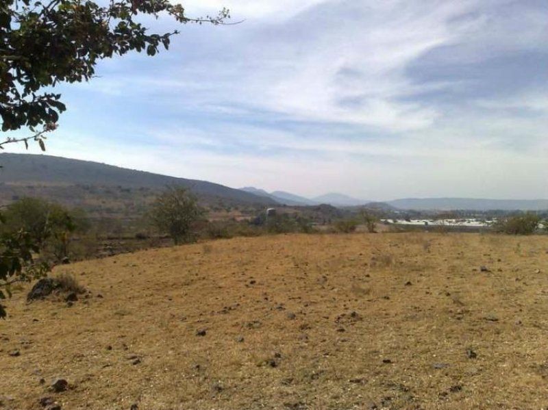 Foto Terreno en Venta en Ario de Rayón, Zamora de Hidalgo, Michoacan de Ocampo - 5 hectareas - $ 5.750.000 - TEV144824 - BienesOnLine