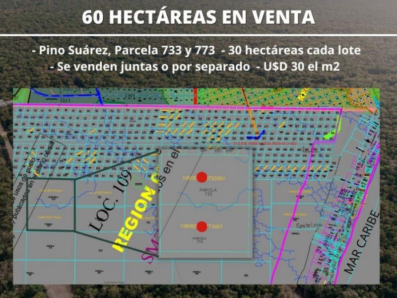 Foto Terreno en Venta en Tulum, Quintana Roo - TEV328090 - BienesOnLine