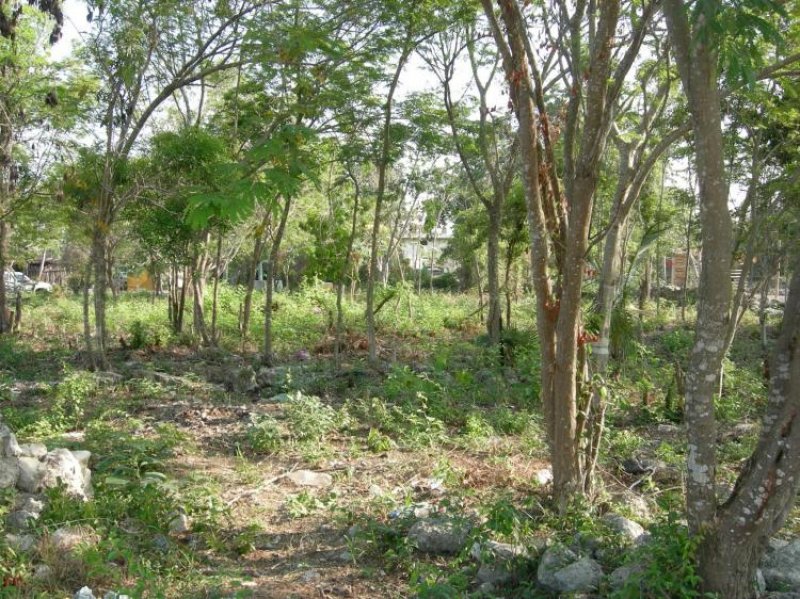 Foto Terreno en Venta en Tulum, Quintana Roo - U$D 37.000 - TEV11340 - BienesOnLine