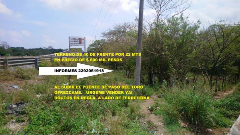 Foto Terreno en Venta en a lado de puente. paso del toro, Paso del Toro, Veracruz - $ 600.000 - TEV276999 - BienesOnLine