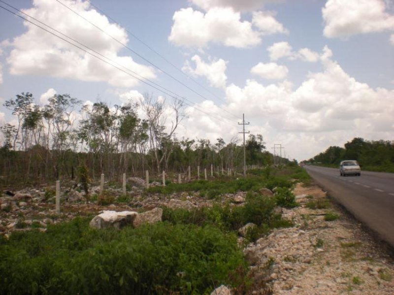 Foto Terreno en Venta en Macario Gómez, Quintana Roo - $ 280.000 - TEV149411 - BienesOnLine