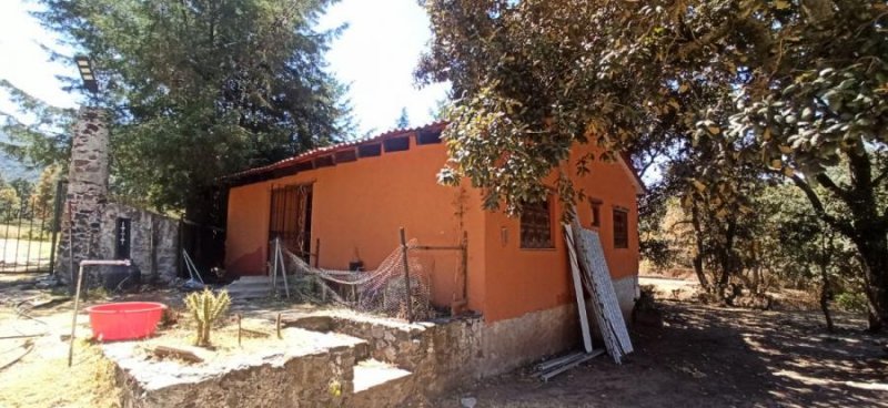 Rancho en Venta en San Lorenzo Nenamicoyan Jilotepec de Molina Enríquez, Mexico