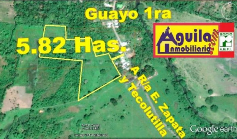 Foto Terreno en Venta en R/a GUAYO 1ra Sección, Comalcalco, Tabasco - 5 hectareas - $ 698.400 - TEV149303 - BienesOnLine