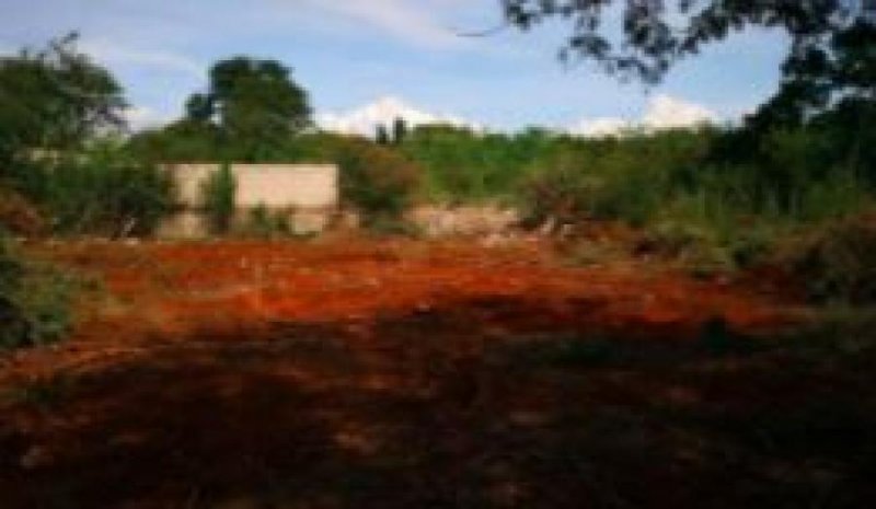 Foto Terreno en Venta en ITZINCAB, Umán, Yucatan - $ 176.000 - TEV314338 - BienesOnLine