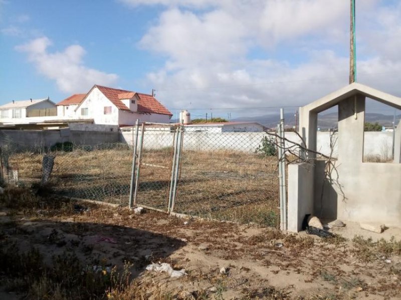 Foto Terreno en Venta en Ex ejido chapultepec, Ensenada, Baja California - U$D 50.000 - TEV234027 - BienesOnLine