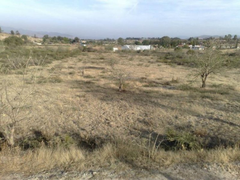 Foto Terreno en Venta en Santo Domingo Barrio Alto, Villa de Etla, Oaxaca - $ 2.000.000 - TEV141567 - BienesOnLine