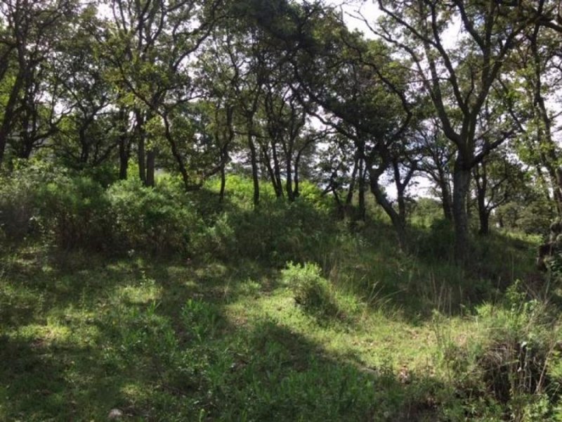 Foto Terreno en Venta en CAÑADA REAL, Tepotzotlán, Mexico - $ 290.000 - TEV269010 - BienesOnLine