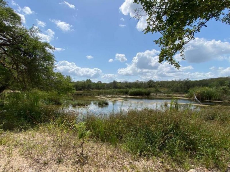 Terreno en Venta en Leona Vicario Puerto Morelos, Quintana Roo