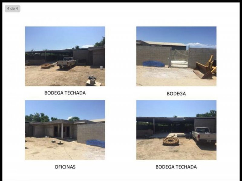 Foto Bodega en Renta en San José del Cabo, Baja California Sur - $ 40.000 - BOR174661 - BienesOnLine