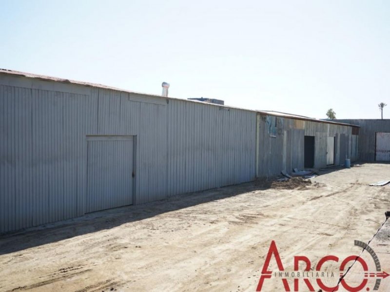 Foto Bodega en Renta en El Sauzal, Ensenada, Baja California - U$D 700 - BOR267749 - BienesOnLine