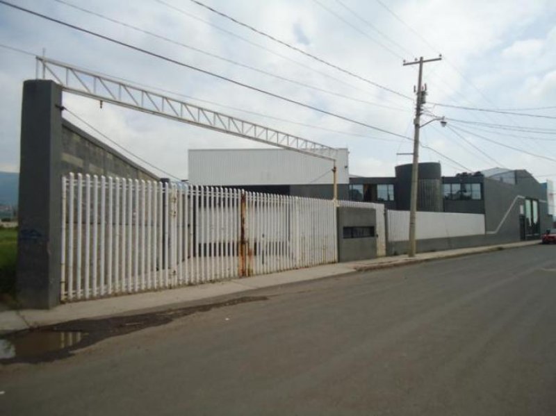 Bodega en Renta en  Pénjamo, Guanajuato