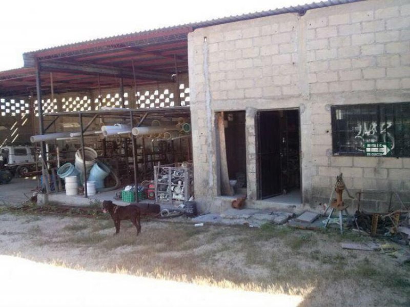 Foto Bodega en Venta en San José Viejo, Baja California Sur - $ 1.000.000 - BOV200456 - BienesOnLine