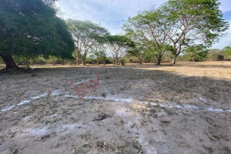 Foto Terreno en Venta en 20 DE NOVIEMBRE, Iguala de la Independencia, Guerrero - $ 305.000 - TEV311008 - BienesOnLine