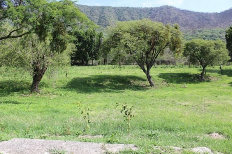 Foto Terreno en Venta en Brisas de Chapala, Chapala, Jalisco - $ 1.306.372 - TEV257810 - BienesOnLine