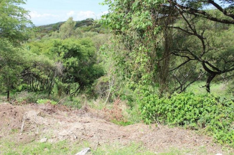 Foto Terreno en Venta en Brisas de Chapala, Chapala, Jalisco - U$D 110.170 - TEV257818 - BienesOnLine