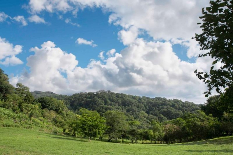 Terreno en Venta en  Coatepec, Veracruz