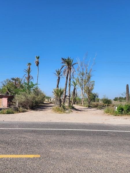 Terreno en Venta en CAMPESTRE LOS REALES Ciudad Constitución, Baja California Sur