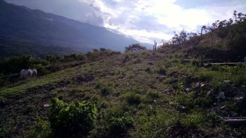 Foto Terreno en Venta en Campestre Villa Esmeralda, Chilpancingo de los Bravo, Guerrero - $ 150.000 - TEV133320 - BienesOnLine