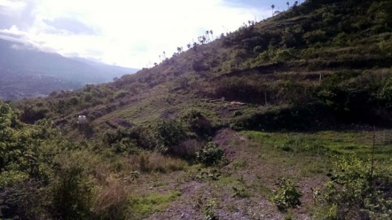 Foto Terreno en Venta en Campestre Villa Esmeralda, Chilpancingo de los Bravo, Guerrero - $ 330.000 - TEV134912 - BienesOnLine