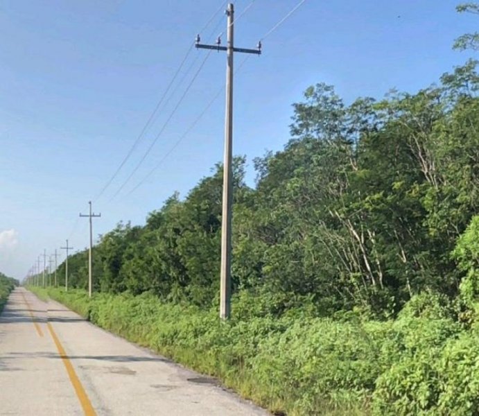 Terreno en Venta en ZONA AGROPECUARIA DE CANCUN Cancún, Quintana Roo