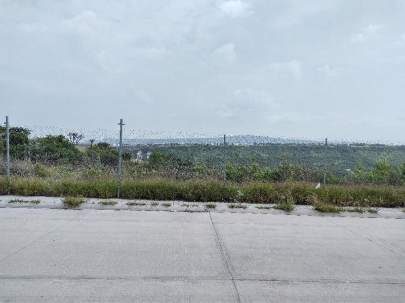 Foto Terreno en Venta en Milenio, Santiago de Querétaro, Queretaro Arteaga - $ 10.500.000 - TEV322955 - BienesOnLine