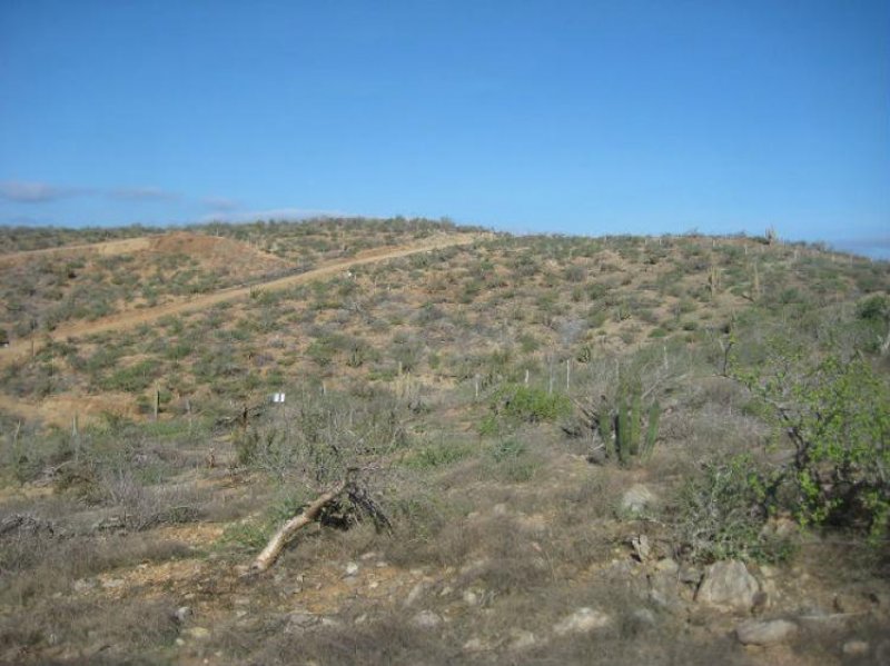 Foto Terreno en Venta en Los Cerritos, El Pescadero, El Pescadero, Baja California Sur - U$D 68.000 - TEV177499 - BienesOnLine