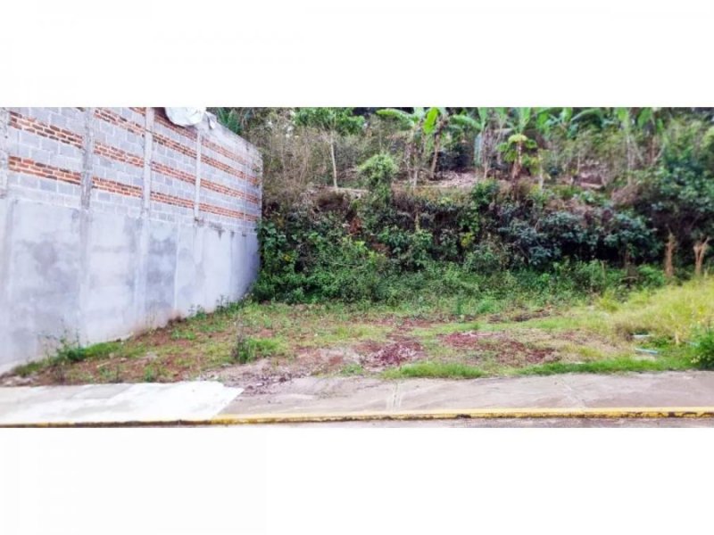 Foto Terreno en Venta en Municipio Emiliano Zapata, Veracruz - $ 350.000 - TEV325721 - BienesOnLine