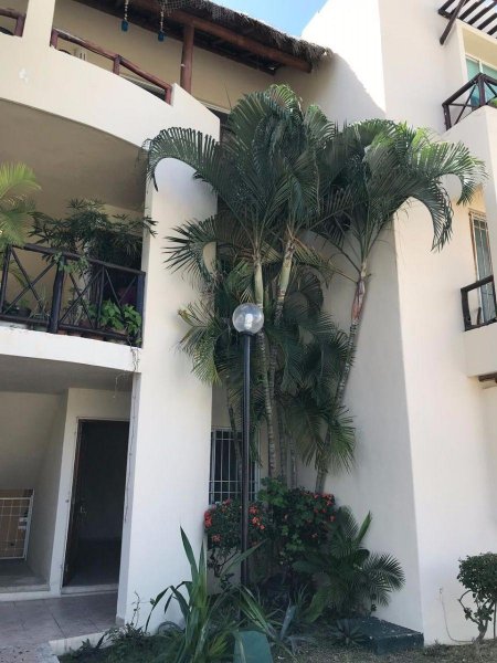 Foto Departamento en Venta en Gonzalo Guerrero, Playa del Carmen, Quintana Roo - $ 2.350.000 - DEV246249 - BienesOnLine